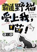 霸道猫总裁是什么漫画