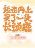 淘宝长颈鹿