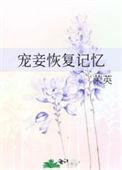 宠妾之后防盗章节