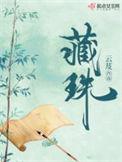 藏珠无弹窗免费阅读