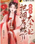 太子新婚手记宁若雨