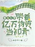 带着亿万物资重生年代