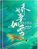 重生之八零娇妻免费阅读