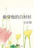 穿他的衬衫的