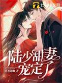 陆少宠妻