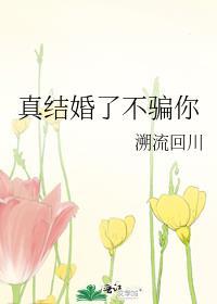 真结婚了不骗你by溯流回川