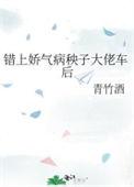 错上娇气病秧子大佬车后(青竹酒)