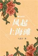风起上海滩短剧免费观看