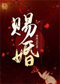 王妃她又跑了免费阅读
