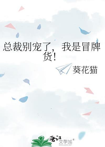 我是冒牌货TXT