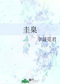圭臬长什么样子