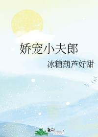 娇宠夫郎(女尊)