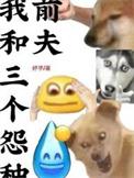 我和三个爱人全文阅读