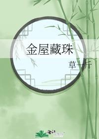 金屋藏珠笔趣阁草一斤