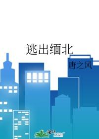 逃出缅北 txt