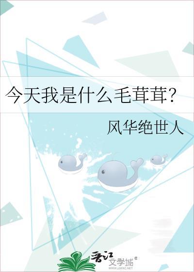 21款宝来带行车记录仪吗