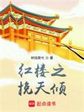 红楼之挽天倾 追书