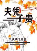 夫凭子贵By暗恋