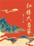 红楼大当家TXT免费