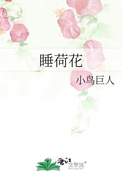 睡连与荷花的区别