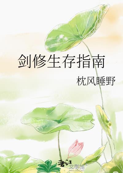 剑修生存指南 枕风睡野 笔趣阁