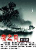 夜之月想曲武器