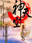 北欧神话天空之神