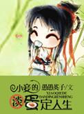 小妾是啥意思