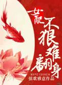 女配不伤悲全文免费阅读