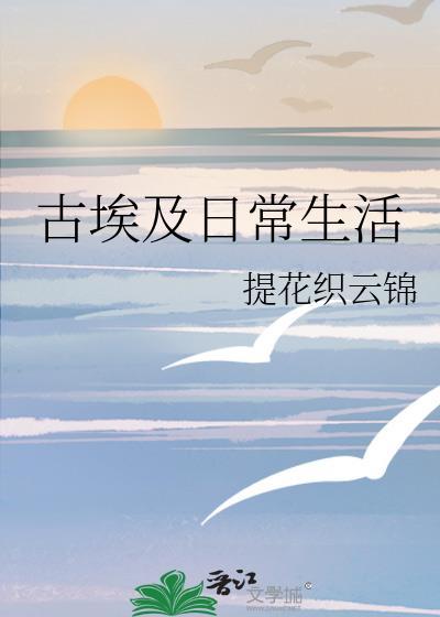 古埃及日常生活类别穿越作者 提花织云锦