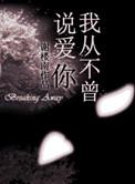 从来不曾说爱你
