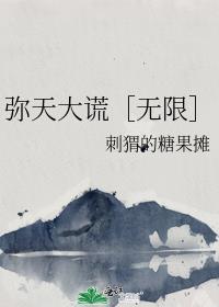 弥天大谎的弥字是什么意思