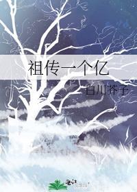 祖传一个亿 作者白川芥子