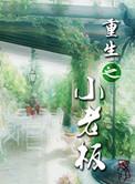 重生之小老板百度
