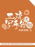 三流写手的忧郁讲什么