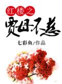 红楼之贾母重生