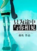 只为途中与你相遇