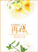 再婚短剧