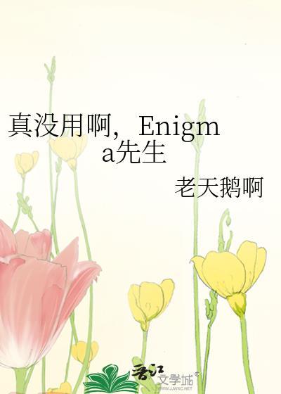 真没用enigma先生免费阅读