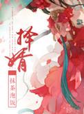 择婿李胤