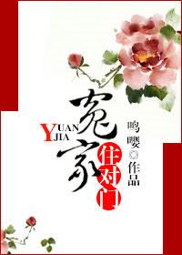 冤家住对门的电视剧有哪些