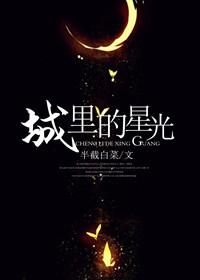 城里的星光 全文免费阅读