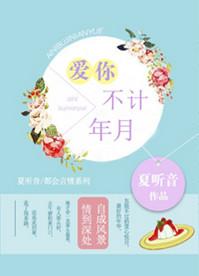 爱你不计年月讲的什么故事