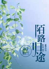陌路是归途讲的什么