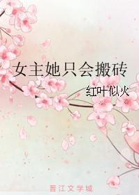 女主她只会搬砖txt