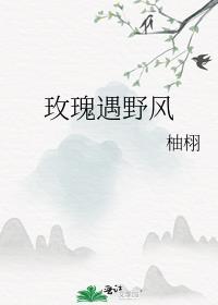 玫瑰遇野风by柚栩