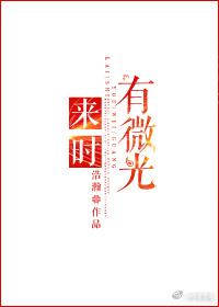 来时有微光什么意思