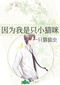其实我是一只小猫咪