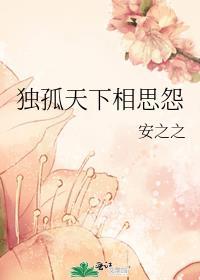 独孤天下讲解