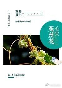 心尖菟丝花百度